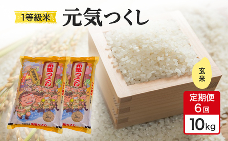 定期便 6回 米 1粒からこだわる 1等級米 元気つくし 玄米 10kg お米 コメ お楽しみ 6ヶ月 令和7年度産