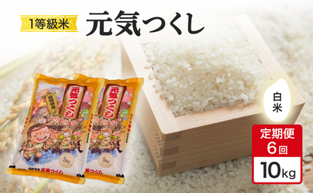 定期便 6回 米 1粒からこだわる 1等級米 元気つくし 白米 10kg お米 コメ お楽しみ 6ヶ月 令和7年度産 