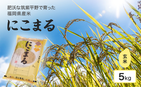 米 肥沃な筑紫平野にて育った 福岡県産米 にこまる 玄米 5kg お米 コメ 令和7年度産