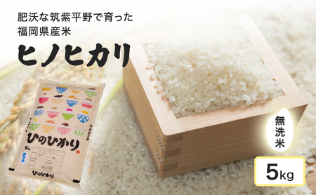 米 肥沃な筑紫平野で育った 福岡県産米 ヒノヒカリ 無洗米 5kg お米 コメ 令和7年度産