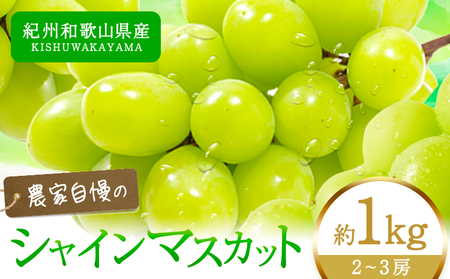 紀州和歌山産 シャインマスカット 約1kg マスカット