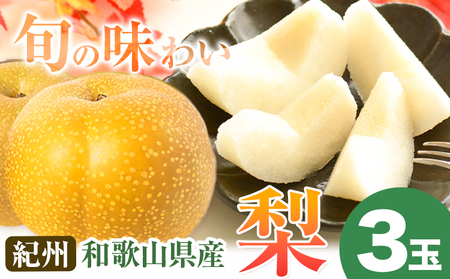 梨 紀州和歌山県産の梨 3玉 化粧箱入