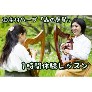 竪琴教室林音　国産材 ハープ 「森の竪琴」　1時間体験レッスンチケット（5名様まで） ｜ 音楽 利用券 体験 教室 
