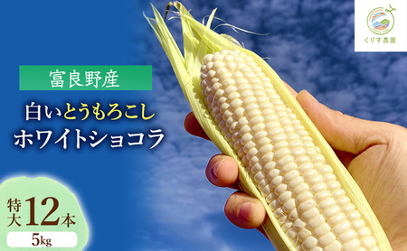 【2026年9月より順次発送】北海道富良野産白い"とうもろこし"「ホワイトショコラ」　特大12本（約5kg）
