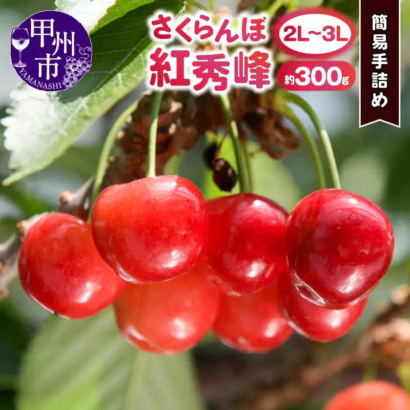 甲州市産大粒さくらんぼ 童夢の「紅秀峰」簡易手詰め（約300g 2L～3Lサイズ）【2026年発送】（DOM）B13-141