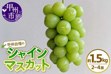 甲州自慢のシャインマスカット 約1.5kg（2～4房入り）【2026年発送】（NK）B12-422 シャインマスカット フルーツ