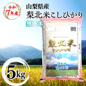 【山梨のブランド無洗米】山梨県産 梨北米こしひかり　5kg　115-010 | コシヒカリ こしひかり お米 米 梨北米 無洗米