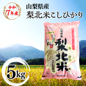【山梨のブランド米】 山梨県産 梨北米こしひかり　5kg 115-008 | コシヒカリ こしひかり お米 米 梨北米 ブランド米