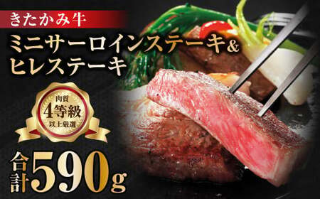 【きたかみ牛】サーロインミニステーキ（50g×5）とヒレステーキ（170g×２) 西部開発農産 岩手県 北上市 J0168 お歳暮 ギフト のし対応 熨斗 和牛 牛肉 クリスマス 年末 年始 パーティ ステーキ 贈り物 ギフト プレゼント