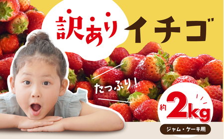 訳ありいちご 約2kg 250g×8P ジャム用 苺