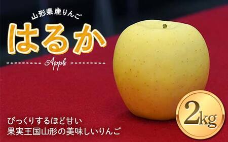 《先行予約2026年度発送》 りんご はるか 2kg(5～8玉) 秀品 果物 フルーツ FSY-1391