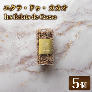 les Éclats de Cacao (5個)|チョコ チョコレート カカオ エンプレーソ アマンフロム村 ガーナ 茨城県 取手市（AH008-1）