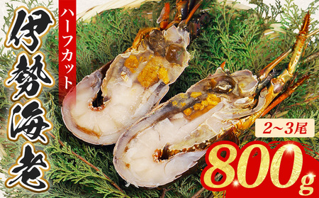 伊勢海老 800g 冷凍 ハーフカット 伊勢海老