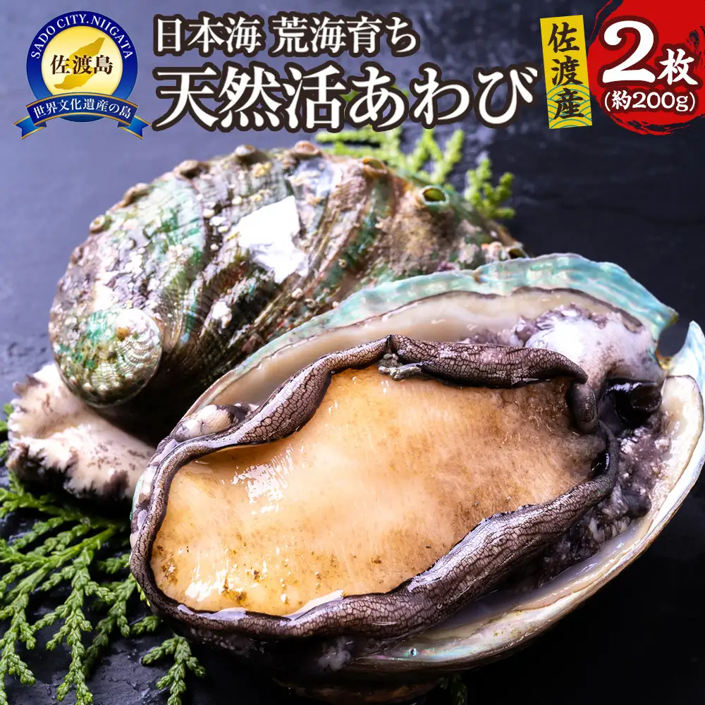 日本海　佐渡産　荒海育ち天然活あわび2枚（200g見当）