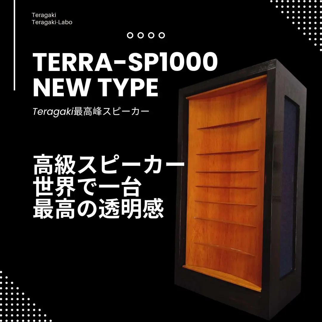 TeragakiスピーカーTERRA-SP1000 New Type