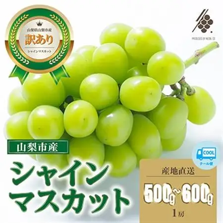 【2026年発送】 シャインマスカット 1房(約500g～600g) 【訳あり】【配送不可地域：離島・沖縄県】【1579990】
