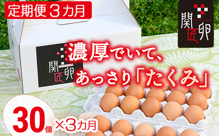 【定期便3か月】関匠卵 たくみ 30個×3か月｜卵 30個 赤玉 玉子 たまご 生卵 鶏卵 産みたて 新鮮 濃厚 健康 TKG たまごかけごはん ご飯のお供 国産 ギフト 贈答 贈り物 お中元 お歳暮 プレゼント 茨城県 古河市 農家直送 ※北海道・沖縄・離島への配送不可 _CP08