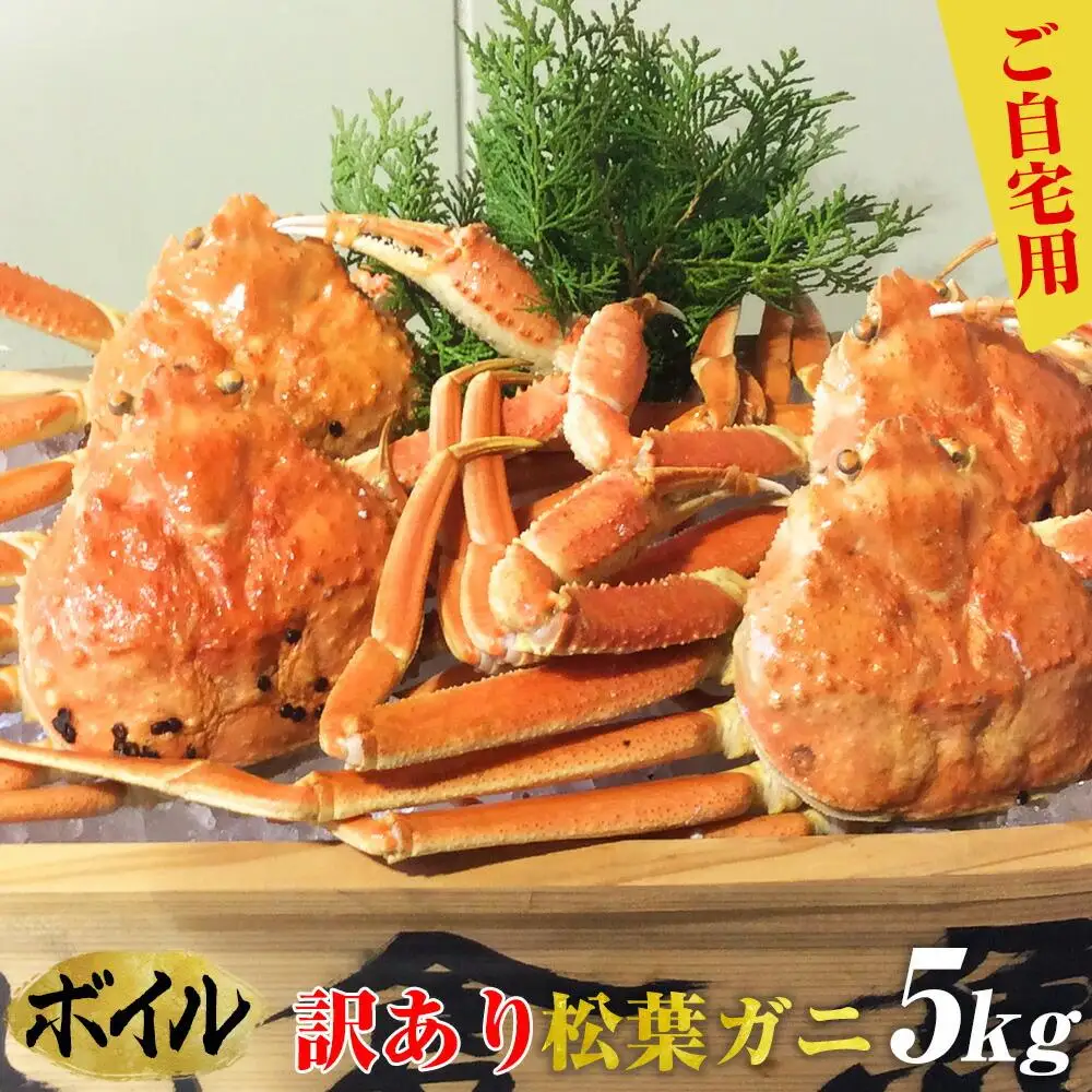 ご自宅用 訳あり ボイル松葉ガニ5kgセット 大満足のお任せ 大容量 | カニ 松葉ガニ 大容量　【着日指定不可】※2026年11月上旬～2027年3月下旬頃に順次発送予定