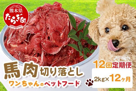 【定期便12回】ペット用 熊本加工 馬肉 切り落とし【 2kg ×12回配送 】 合計 24キロ ドッグ フード 無添加 無香料 ヘルシー 高栄養 馬刺し 冷凍 お肉専門店 熊本県 国内加工 041-0508