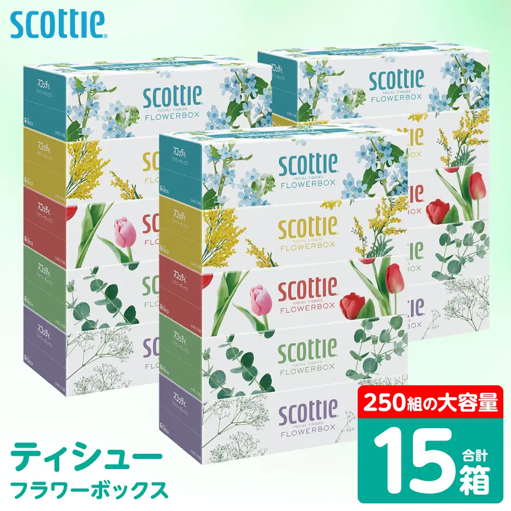 スコッティ ティッシュ 250組 15箱 ティシュー