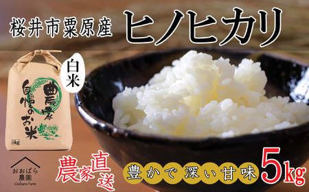 M-AE41.【白米】桜井市粟原産 ヒノヒカリ 5kg