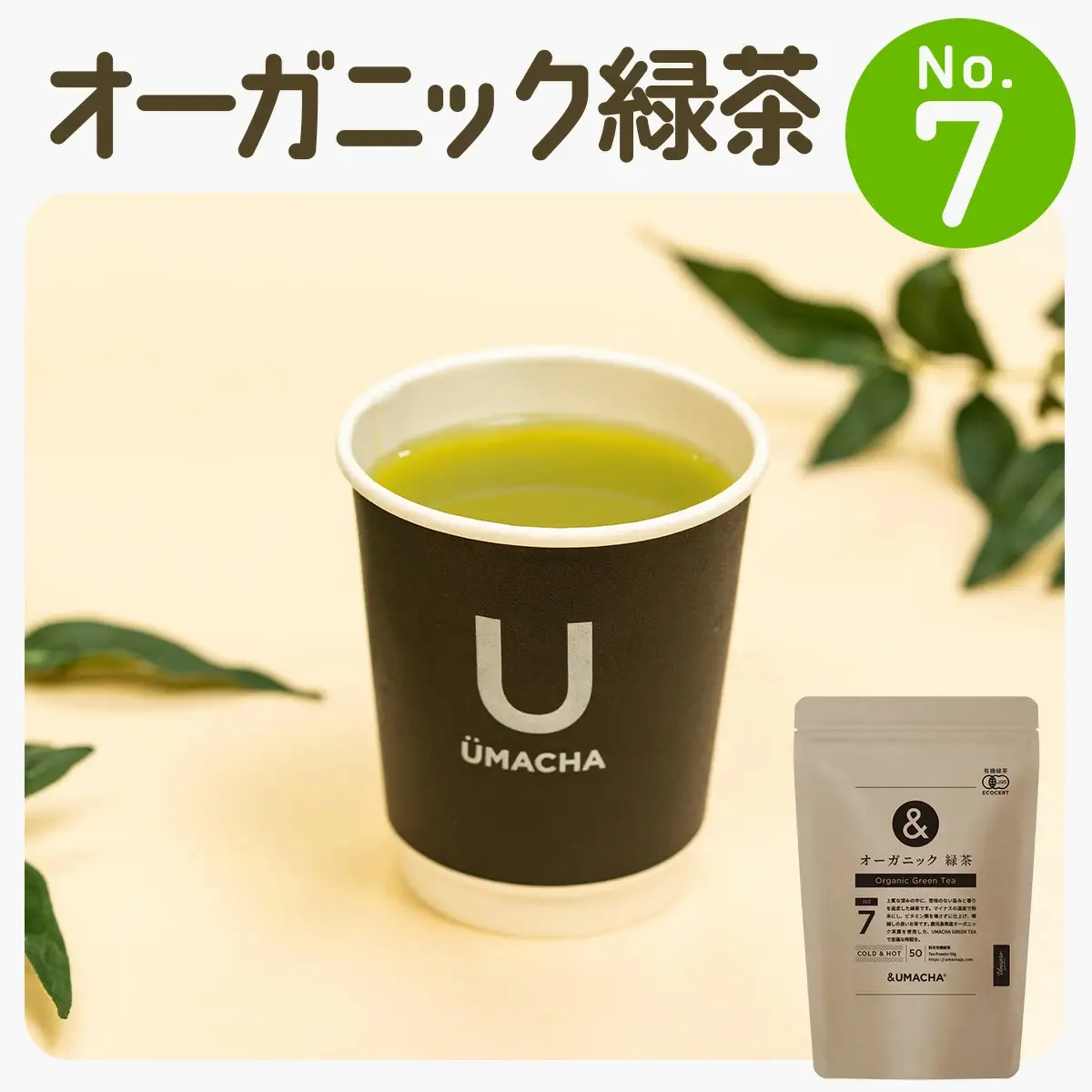 【ORGANIC TEA】No.7 オーガニック緑茶　50P5721