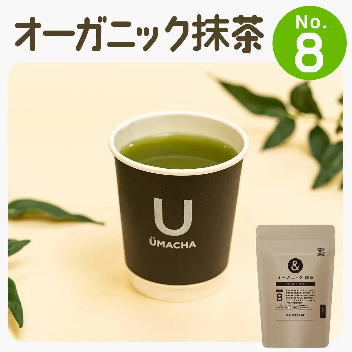 【ORGANIC TEA】No.8 オーガニック抹茶　55P5709