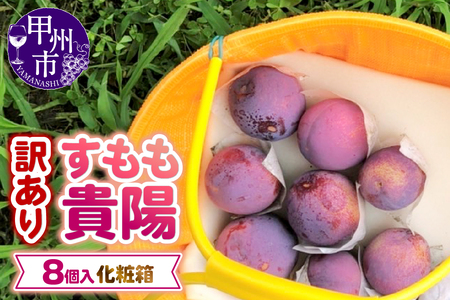 【訳あり】童夢のすもも「貴陽」化粧箱 8玉（約1.6～1.9kg）【2026年発送】（DOM）A08-142 すもも フルーツ