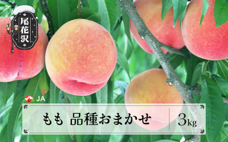 先行予約 もも 品種おまかせ 約3kg 8月中旬~9月上旬頃発送 令和8年産 2026年産 桃 果物 フルーツ 山形県産 送料無料 ja-moxxx3-b ※沖縄・離島への配送不可