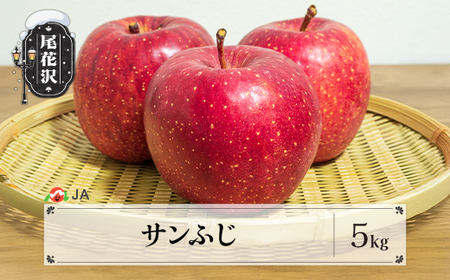 先行予約 サンふじ 約5kg 秀品 令和8年産 ja-risfx5-b