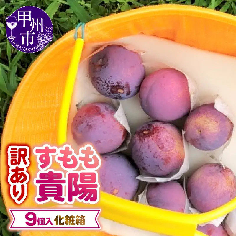 【訳あり】童夢のすもも「貴陽」化粧箱 9玉（約1.35～1.7kg）【2026年発送】（DOM）A07-141 すもも フルーツ