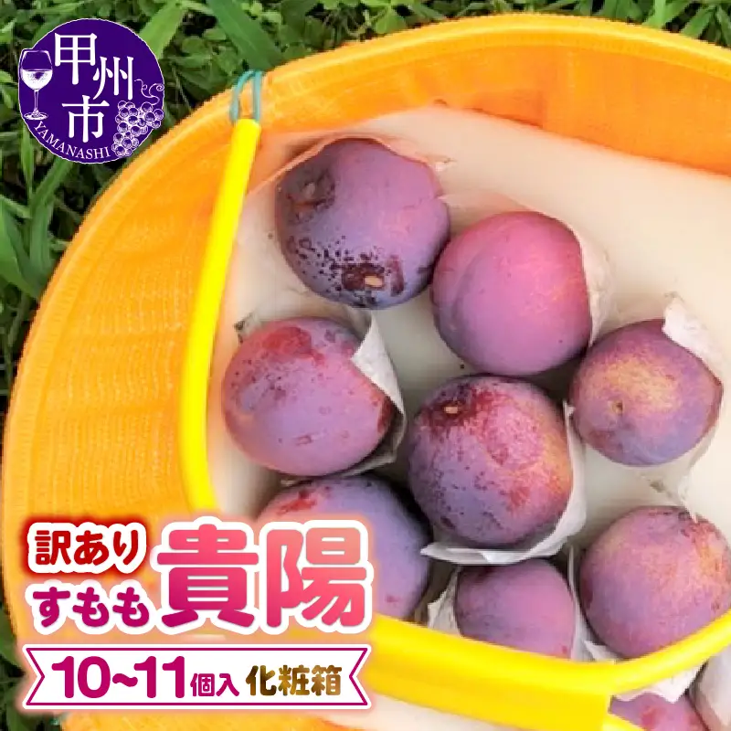【訳あり】童夢のすもも「貴陽」化粧箱 10～11玉（約1.1～1.4kg）【2026年発送】（DOM）A05-141 すもも フルーツ