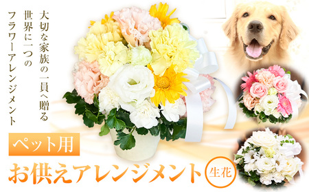花 椿原園 ペット用 お供え アレンジメント 1個 フラワーアレンジメント 《30日以内に出荷予定(土日祝除く)》 熊本県 荒尾市 生花 お供え 花 お供え用 犬用 猫用 犬 猫 ペット