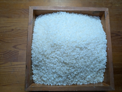 有機JAS認定 丹波市産コシヒカリ 精米3kg 〈有機栽培〉〈丹波市産〉 コシヒカリ 白米