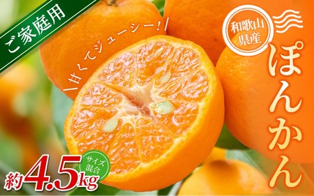 【家庭用】 森本農園の手選別 ポンカン 約4.5kg 和歌山県産 サイズ混合 【北海道・沖縄・離島配送不可】【2027年1月上旬～2月上旬頃に順次発送】【RN12】【BV90012-mrmt012】