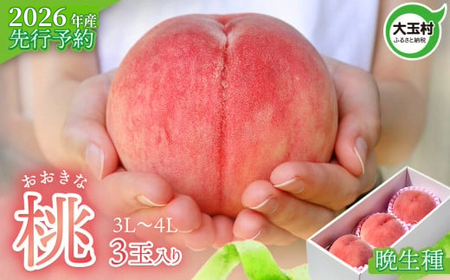 桃 【先行予約】大きいサイズ3玉(約1kg)  桃