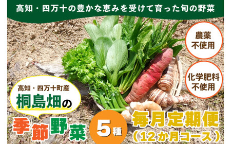 【栽培期間中、農薬・化学肥料不使用】桐島畑の季節野菜詰め合わせ(5種類)(定期便12か月コース)　Rfkh-A02 ／ やさい 国産野菜 四万十 高知 季節 フレッシュ 旬 無農薬 有機農業 野菜セット 新鮮 フレッシュ こだわり栽培 安心安全