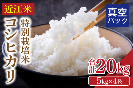 【令和8年】先行予約  近江米『コシヒカリ』　特別栽培米　20キロ（5キロ×4袋　真空梱包） DT-0006