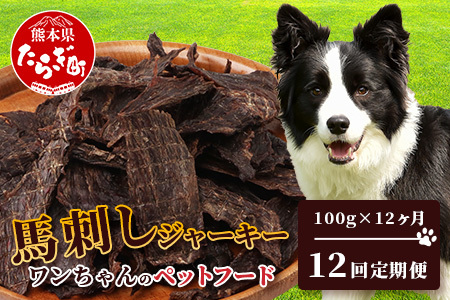 【 定期便12回 】 ペット用 手作り 馬肉 ジャーキー 熊本加工 【 100g ×12回 】 ドッグ フード ペット おやつ 食事 無添加 無香料 ヘルシー 高栄養 お肉専門店 1年 定期便 熊本県 馬肉 国内加工 041-0512