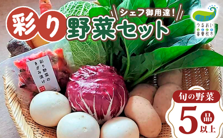 農園自慢 彩り 野菜セット（ 5品 以上〜）【予約受付 6月発送開始予定】旬 野菜 詰め合わせ シェフ御用達 国産 うるおい春夏秋冬 やさい セット 岩手県 北上市 A0235 季節の野菜 西洋野菜 紫人参 丸なす 水なす 長なす とうがらし カラフル 野菜 お試し