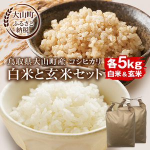 【令和8年10月以降発送新米】MS-108 大山町産こしひかり【大山の一粒】「白米」と「玄米」セット（各5kg　計10kg）