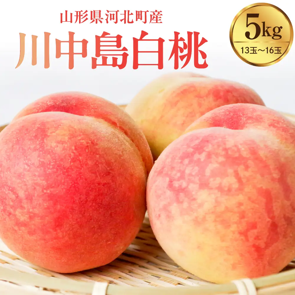 桃 川中島白桃 5kg 特秀 13-16玉 令和8年産 桃 フルーツ