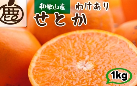 家庭用 せとか 1kg+250g（痛み補償分） 光センサー / 訳あり 甘い 和歌山 柑橘 ※2月上旬～4月上旬頃に順次発送 ※北海道・沖縄・離島への配送不可 【ikd014-c-1B】