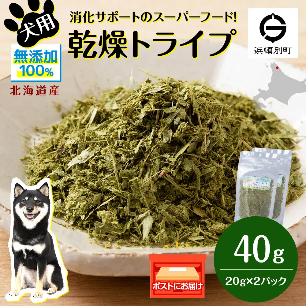 犬 おやつ 無添加 国産 乾燥グリーントライプ 40g (20g×2)