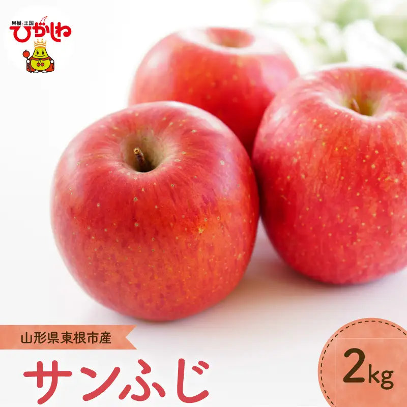 【2026年産】 りんご 「 サンふじ 」 2kg りんご