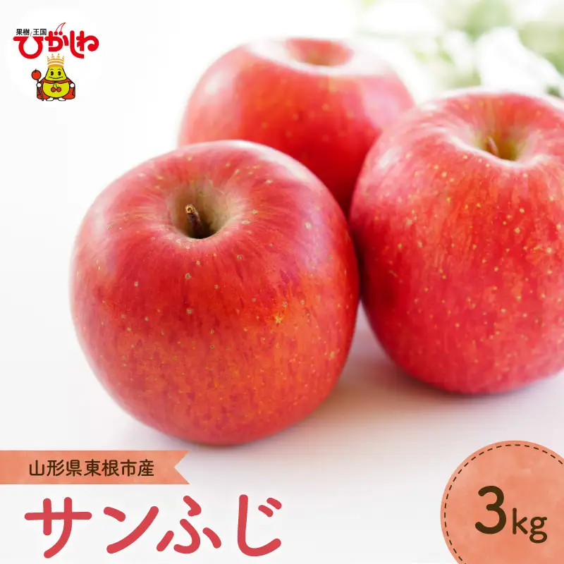 【2026年産】 りんご 「 サンふじ 」 3kg りんご