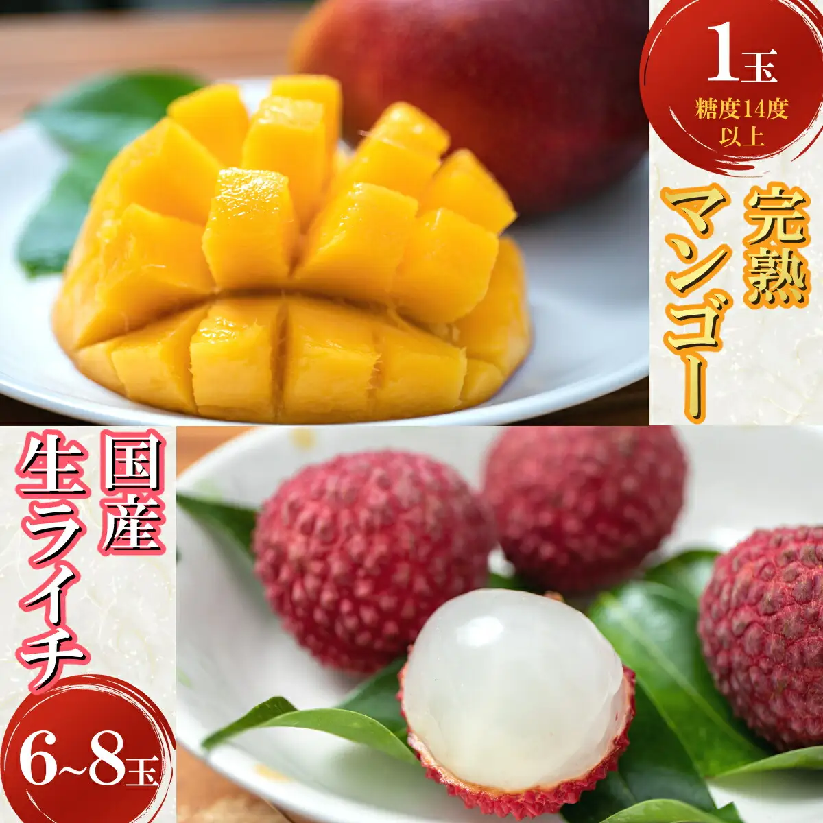 【令和8年6月ごろより発送】先行予約 完熟マンゴーと生ライチのセット マンゴー 生ライチ