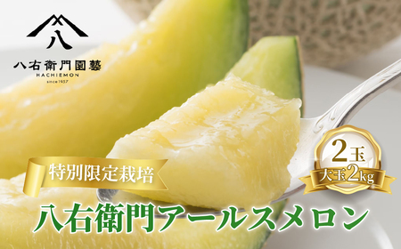 《先行予約》アールスメロン 大玉2kg 2玉  特別限定栽培 八右衛門