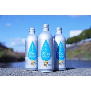 【 防災備蓄水 】おおぶの水 490ml×24本入り		