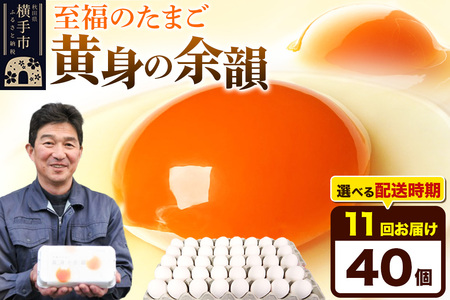 【常温発送】《定期便11ヶ月》黄身の余韻 40個（業務用）【発送時期が選べる】東海林養鶏場 黄身の余韻 卵 玉子 たまご タマゴ 11か月 11ヵ月 11カ月 11ケ月 開始時期選べる